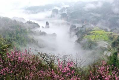候鳥的選擇，彰顯湖南生態(tài)系統(tǒng)持續(xù)優(yōu)化